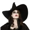WITCHS ADULT HAT