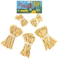 WIZARD OF OZ SCARECROW STRAW
